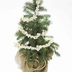 Cheap Ways to Decorate Your House for the Christmas Season