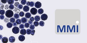 Connecting the dynamics of antimicrobial response across scales