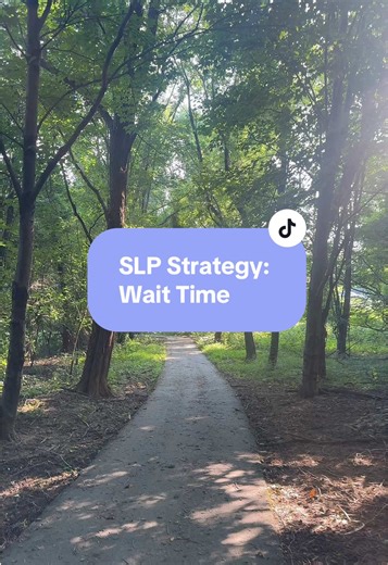 Wait time 🛑🤫. Giving extra processing time is much more useful than you may think! #slp #speechtherapy #speechtherapist #speechpathology #specialneeds