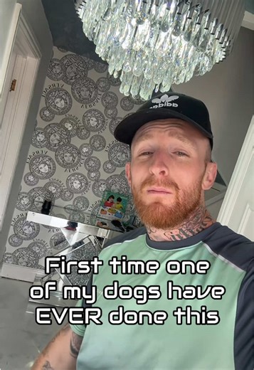 Dog's Hilarious First Time Experience Captured on Video