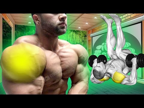 11 Easy Shoulder Exercises Compilation with Dumbbell Only
