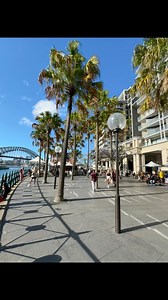 14 reactions | Beautiful Sydney ❤️❤️ | Aussie | Facebook