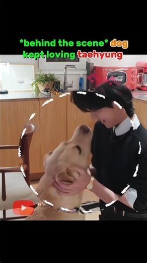the dog purely loved taehyung, even after the owner was the host ....