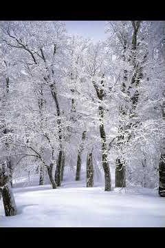 Winter fairy tale, wonders of nature, icy beauty and snowy landscapes. A story coming to life before