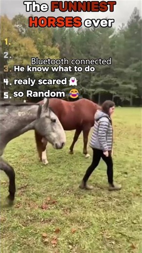 These Horses Are So RANDOM! 🤣 #shorts #viralshorts