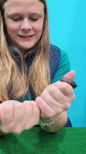 Assistant Must decided which Squishy or Fidget is the Best! #FamilyFun #Fidget #squishy