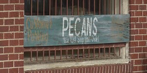 This plant has been shelling pecans on False River for a century