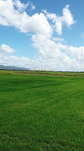 Strengthening the Future of Rice Farming in T&T! 🌾 A week ago, Senator the Honourable Kazim Hosein, Minister of Agriculture, Land and Fisheries, met with farmers in South Trinidad for a productive discussion on expanding opportunities in rice farming. This meeting, part of the Modernisation and Revitalisation of the Rice Industry Project, brought together key stakeholders, including National Flour Mills (NFM) and the Marvista Institute for Agriculture Training and Development (MIATD), who are a