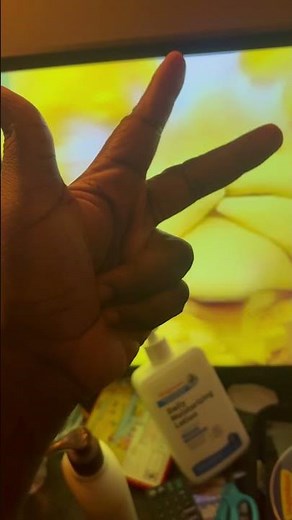 Sesame Street Journey To Ernie Big Bird Hide and Seek 1 to 10