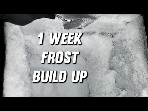 Scraping Deep Freezer Frost | Humidifier Frost Build Up