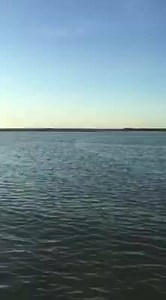 2.4K views · 19 reactions | Up early Saturday morning to fish a creek in fog bay but could not get in for nets | Fishing Reports Darwin | Facebook