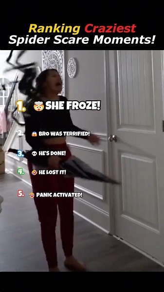 Ranking Craziest Spider Scare Moments!
