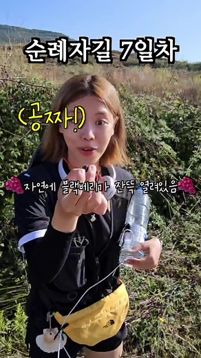 산티아고 순례길 7-8일차: 힘든 여정과 절약 팁