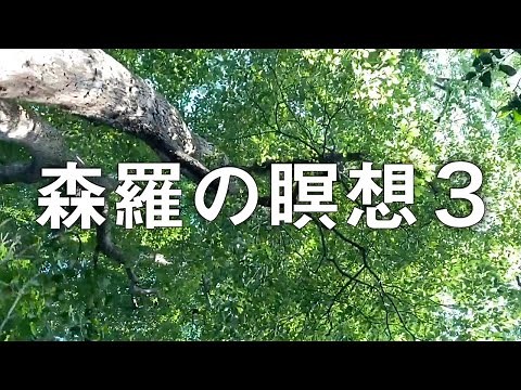 Piano Live for Mindfulness 3 (Meditation Piano Music) Wong WingTsan Pianist