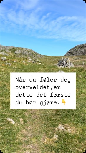 Når du føler deg overveldet, er det første du bør gjøre å sette grenser. Et enkelt tips, men likevel ofte så vanskelig å gjennomføre. Når du føler deg overveldet, er det ikke fordi du gjør noe feil. Det er ofte fordi du har vært for åpen for lenge – uten beskyttelse, uten pause, uten grenser. Uten at du har lyttet til hva du trenger. Du har vært opptatt av ytre krav og forventninger og glemt deg selv oppi det hele. People pleasing omtales det ofte som. Det er så slitsomt å holde på med, og ofte 