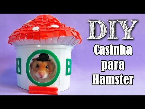 How to make house for hamster | Hamster house 2