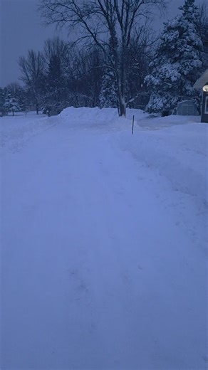 Exciting Snowmobiling Adventures in Fresh Powder