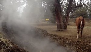 Is My Compost Pile Going to Combust?