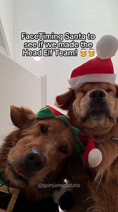 Keeping our toe beans crossed 🤞 | Gamja My Potato