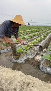 Farmer at work | Creative Life