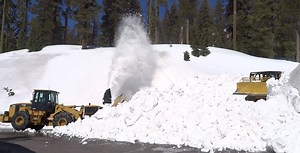 16K views · 429 reactions | The annual road clearing operation is no...