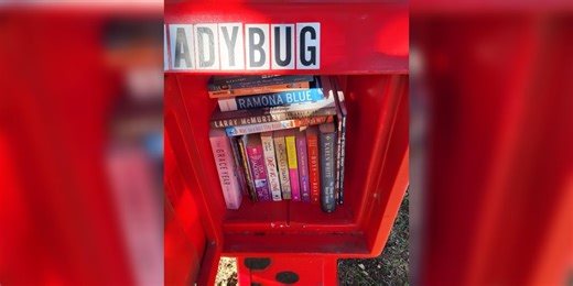 Central Texas woman installs free library in front yard to provide community with books