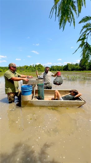 151K views · 1.4K reactions | 咽輦Showing our Australian friend Man...