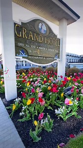 1.3K views · 69 reactions | A breezy spring visit to Cape May and Cape May Point to enjoy first flowers the Victorian architecture, and beach vibes: The Grand Hotel, The Inn of Cape May, Emlen Physick Estate, home of Visit Cape May MAC, Cove Beach, and Cape May Lighthouse with music by NJ’s Dizzy Gillespie. #capemay #capemaymac #capemaypoint #nj #philadelphia #usa #tulip #tulips #flowers #familytravel  | Writing Jersey Life | Facebook