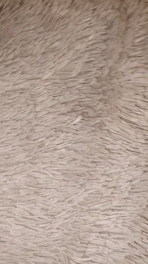 ☁️✨aestheticandfidget✨☁️ na TikTok