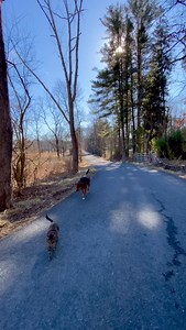 Brian Booth Craig on Reels