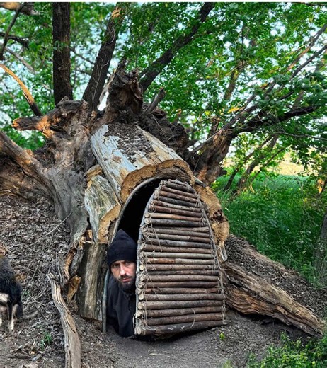 Essential Tips for Building Warm and Comfortable Camping Shelters