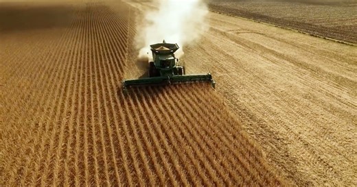 This Week in Agribusiness, December 13, 2025