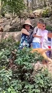 22K views · 35 reactions | Angry Monkey | Lost Souls Radio | Facebook