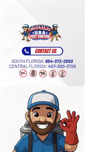 🔍 Did you know that prevention costs much less than combating an infestation? With our Preventive Maintenance Plans, you can keep your home or business protected year-round: ✅ Avoid infestations ✅ Save money in the long run ✅ Enjoy continued peace of mind Don’t wait for pests to appear... get ahead of them! 🚫🐜 👉 Call Cousins ​​USA Pest Control today and receive your FREE inspection. ☎️ Central Florida: 407-300-3728 | Counsins USA Pest Control FL