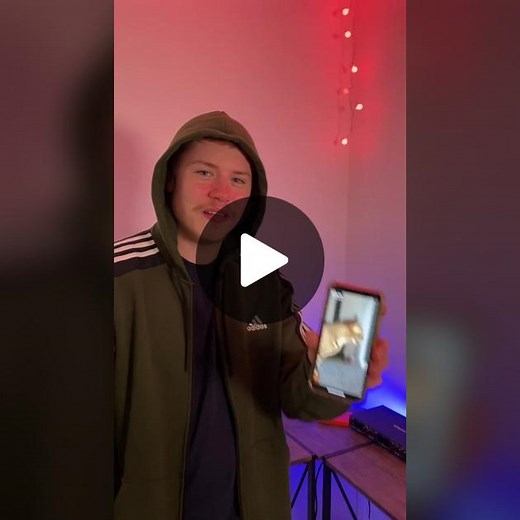 Dynamic Beatbox Duo: Uniting Music and Feline Talent