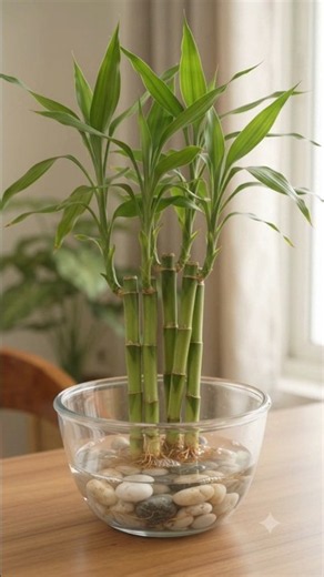 5 Amazing Indoor Gardening Hacks to Grow Plants Without Soil!😍🌿#shorts