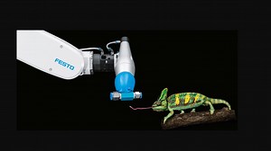 源于变色龙的捕食绝技 | Festo 仿生自适应抓手
