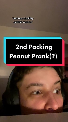 I’m a delight to live with 😏 #packingpeanuts #prank #gerblin