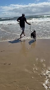 Why Swimming is PAWsome for Your Dog 🐾💦Does your furry friend enjoy splashing around in the water? Swimming isn’t just fun—it’s fantastic for your dog’s overall health and well-being! Here are some key benefits:1️⃣ Low-Impact Exercise: Swimming is easy on your dog’s joints, making it perfect for older dogs, pups with arthritis, or breeds prone to joint issues.2️⃣ Improved Muscle Tone: The resistance of water helps build strength and tone muscles without putting stress on bones or joints.3️⃣ He