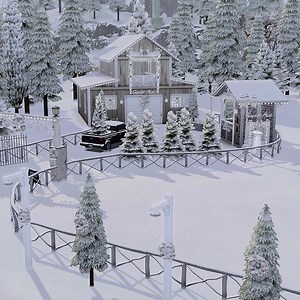 Christmas Tree Sale | No CC | 02