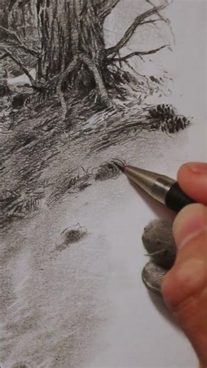 100 Trees Challenge – Tree #1 Sketch in Graphite