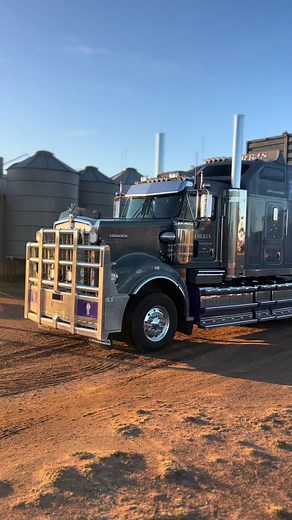@Morris Transport big horse loading your next jumper #sheep #c509 #kenworth #aintnosecondprize @Jake GOODMAN