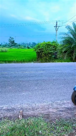 Section.302🕵️ (@section..302)’s videos with original sound - Section.302🕵️