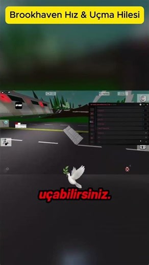 Roblox Brookhaven Hız ve Uçma Hilesi 🚀 #roblox #brookhaven