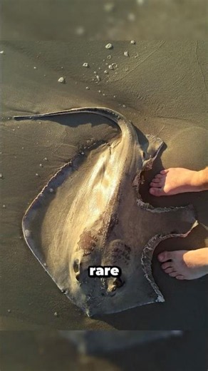 Rare photos you have never seen - Part 1