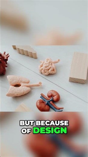 Beat Chaos: Kelly Criterion, Simple Models, and Your Profits #shorts