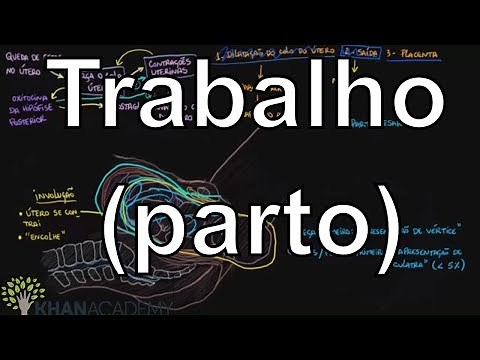Labor (childbirth) | Life and evolution | Khan Academy