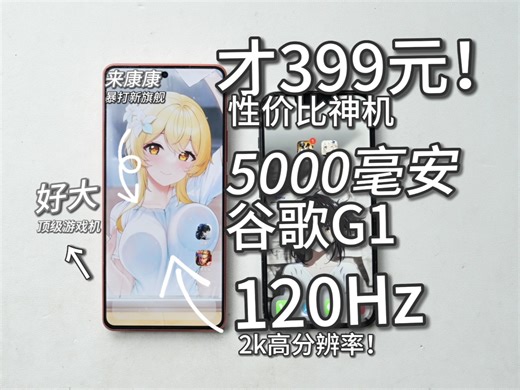 真·自研处理器谷歌G1，GN1大底！120hz 2k屏+5000电池！谷歌pixel6pro测评~