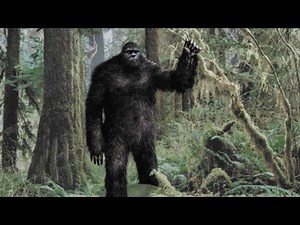Bigfoot: New Evidence