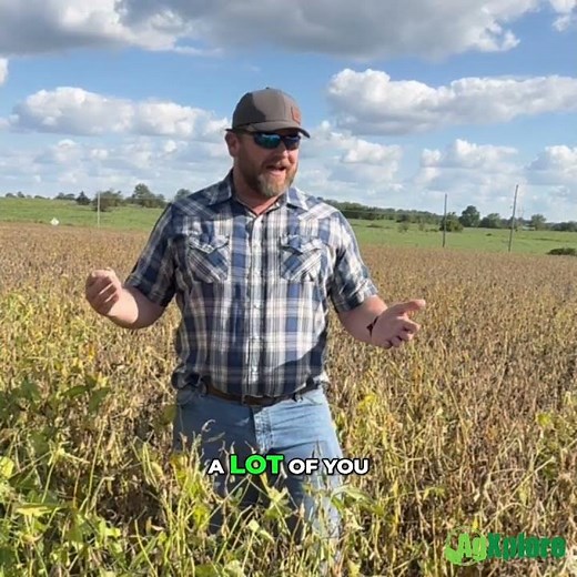 AMS vs ATS: How Sulfate Based Sulfur Moves in Soil and How to Choose the Right Source for Your Acre